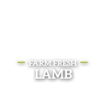 View Lamb Products